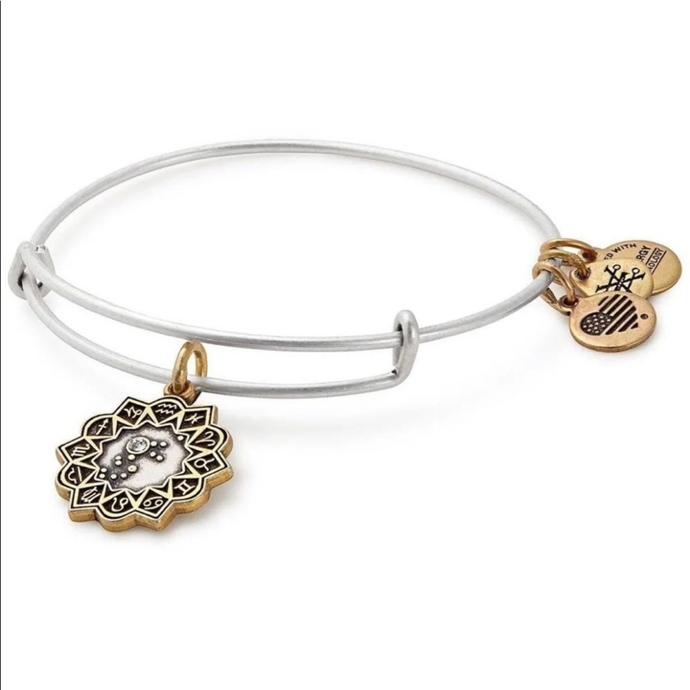 Alex and Ani Bracelet Aquarius Two Tone Charm